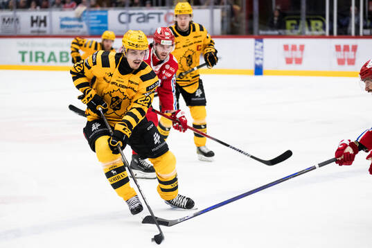 Skellefteås Jonathan Johnson