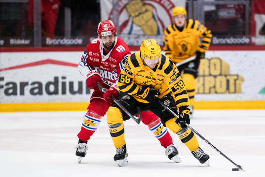Timrås Robin Hanzl och Skellefteås Oskar Nilsson
