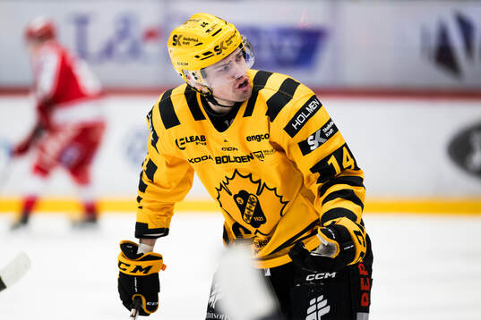 Skellefteås Andreas Johnson