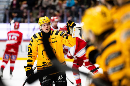 Skellefteås Anton Heikkinen jublar