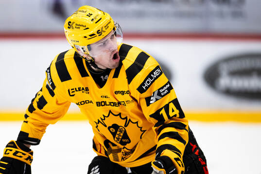 Skellefteås Andreas Johnson