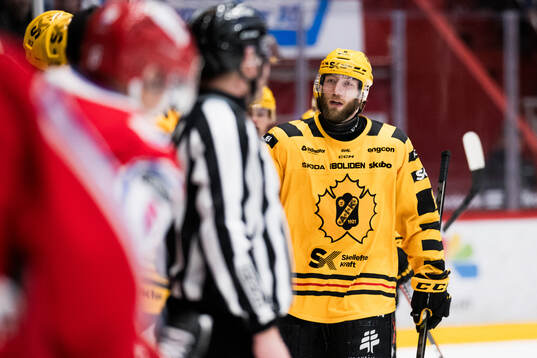 Skellefteås Petter Granberg jublar