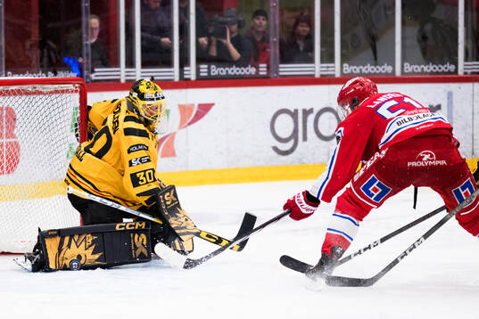 Skellefteås målvakt Gustaf Lindvall och Timrås Anton