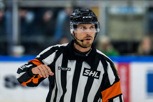 Domare Johan Magnusson
