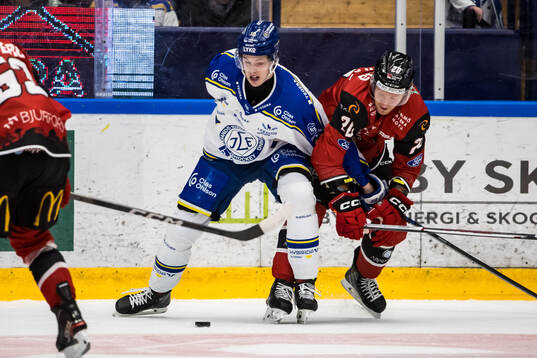 Leksands Anton Johansson och Malmö Redhawks Thomas Berg