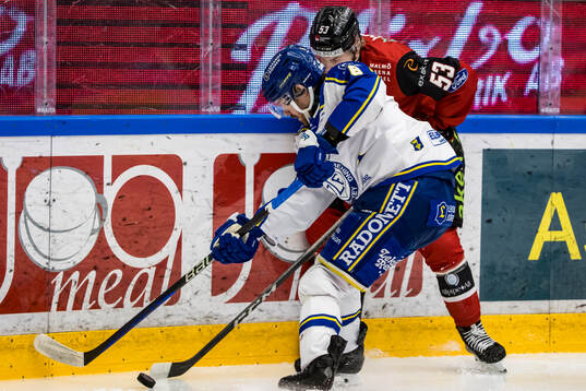 Leksands Matt Caito och Malmö Redhawks Albert Sjöberg