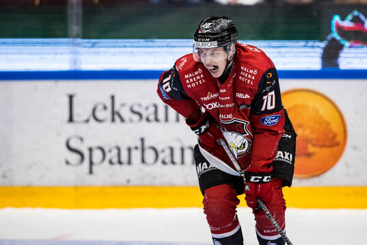 Malmö Redhawks William Von Barnekow har ont