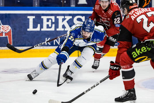 Leksands Marek Hrivik
