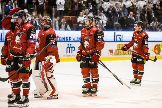 Malmö Redhawks spelarna deppar