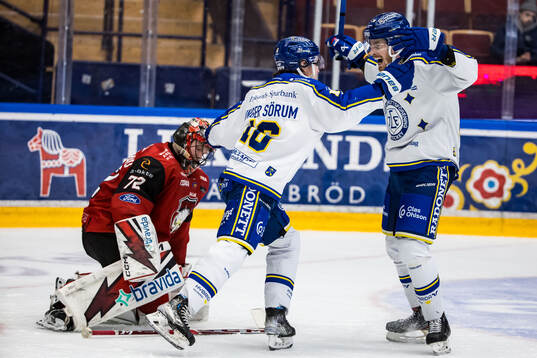 Malmö Redhawks målvakt Daniel Marmenlind deppar och