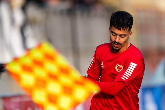 Kalmars Arash Motaraghebjafarpour deppar