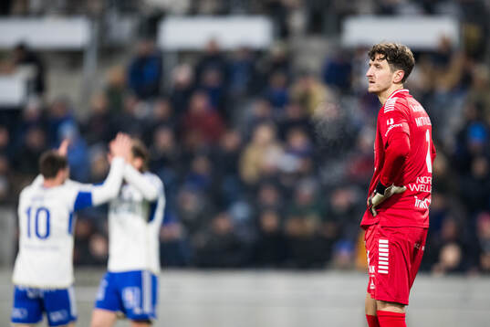 Sirius David Mitov Nilsson deppar