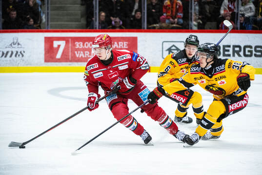 MoDos Theodor Niederbach och Luleås Olli Nikupeteri