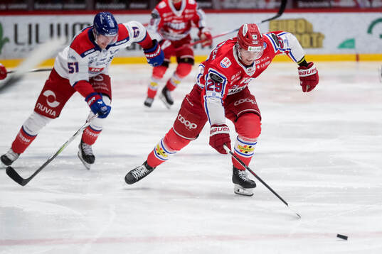 Timrås Filip Hållander
