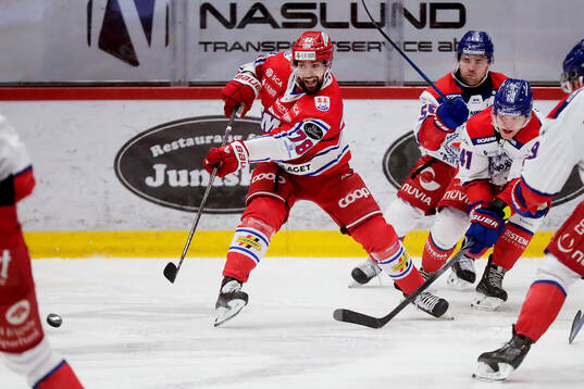 Timrås Robin Hanzl