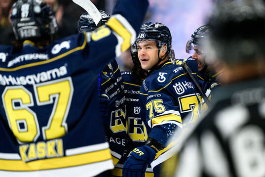 HV71s Radan Lenc jublar