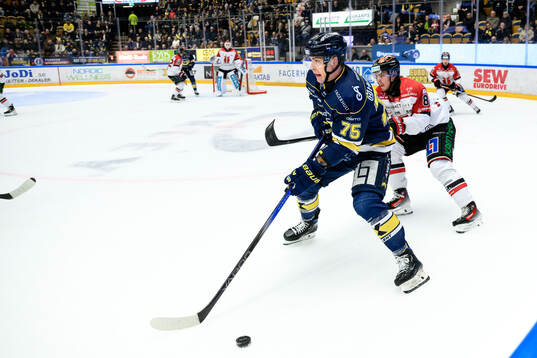 HV71s Radan Lenc