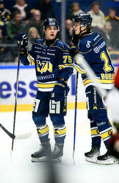 HV71s Radan Lenc