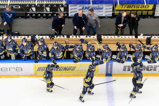HV71s spelare och ledare jublar