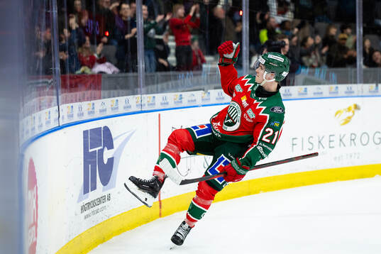 Bläddra bland fler bilder av Ishockey, SHL, Frölunda - Linköping