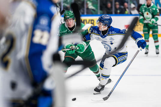Rögles Simon Zether och Leksands Anton Johansson