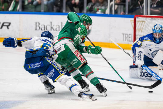 Leksands Alexander Lundqvist och Rögles Brady Ferguson