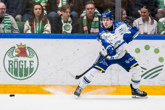 Leksands Marcus Karlberg