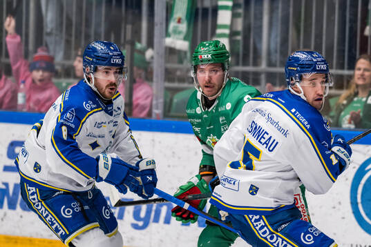 Leksands Matt Caito  och Rögles Linus Sandin