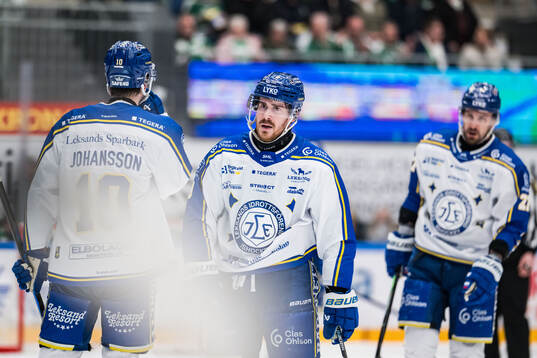 Leksands Matt Caito deppar