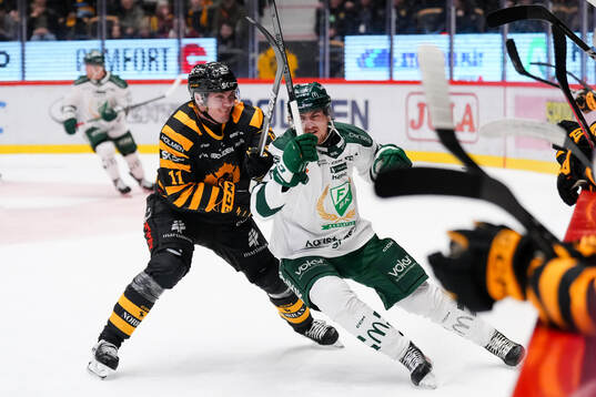 Skellefteås Max Lindholm