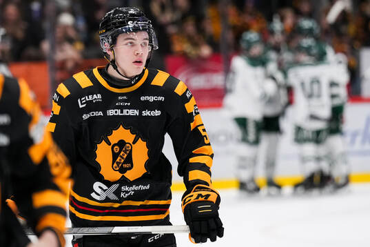 Skellefteås Axel Sandin Pellikka deppar