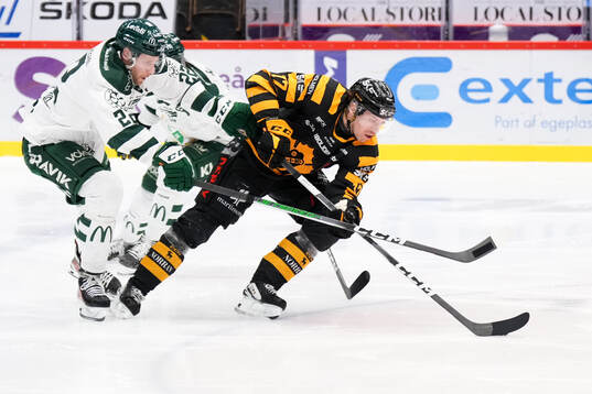 Färjestads Per Åslund och Skellefteås Pär Lindholm