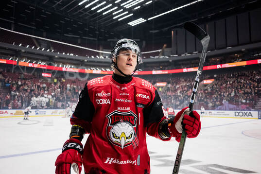 Malmö Redhawks Fredrik Händemark