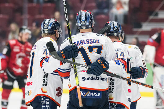 Under ishockeymatchen i SHL mellan Malmö Redhawks och