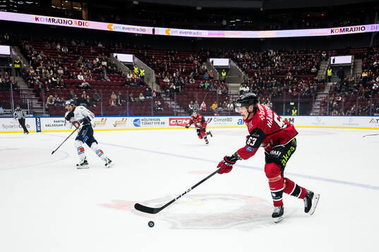 Malmö Redhawks Fredrik Händemark