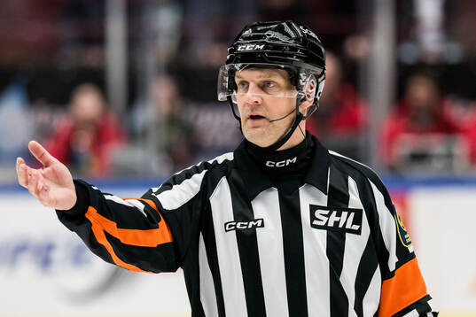 Domare Mikael Nord