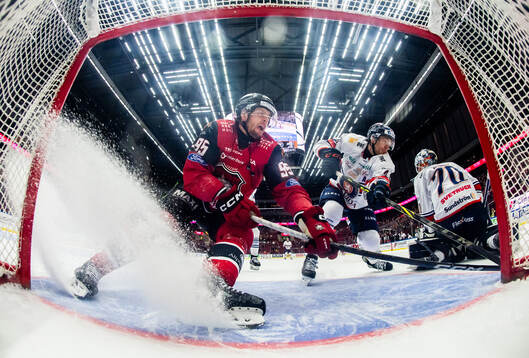 Bläddra bland fler bilder av Ishockey, SHL, Malmö Redhawks - Växjö