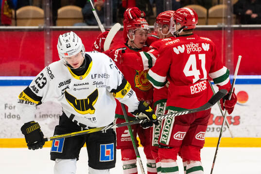 Västerås Adam Hofbauer deppar