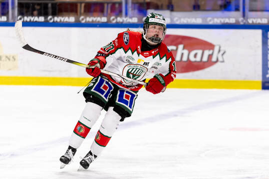 Frölundas Emilia Vesa