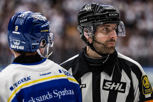 Domare Mikael Sjöqvist