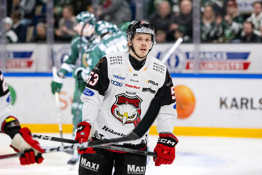 Malmö Redhawks Albert Sjöberg deppar