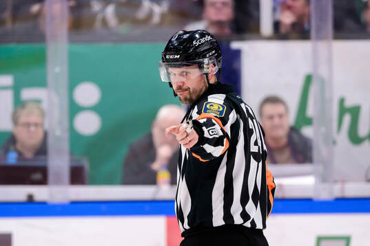 Domare Johan Magnusson
