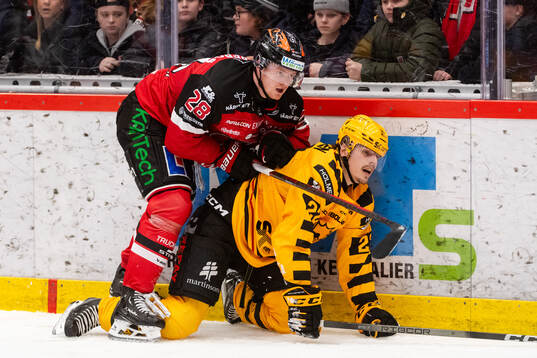 Skellefteås Jonathan Johnson och Örebros Linus Arnesson