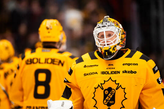 Skellefteås målvakt Alexander Hellnemo