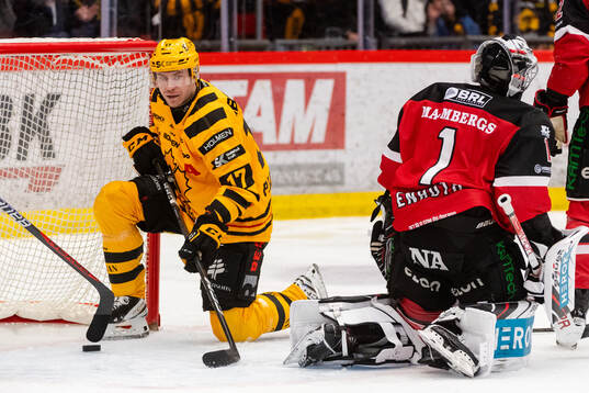 Skellefteås Pär Lindholm