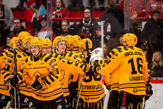 Skellefteå jublar