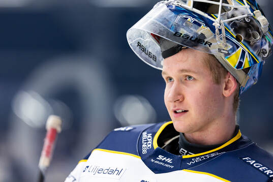 HV71s målvakt Olof Glifford