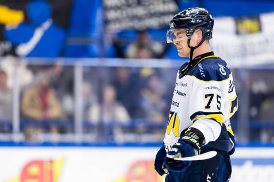 HV71s Radan Lenc deppar