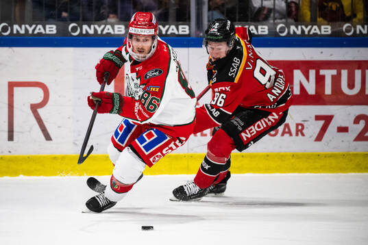Frölundas Erik Thorell och Luleås Pontus Andreasson
