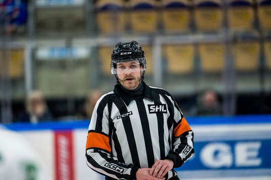 Domare Daniel Eriksson